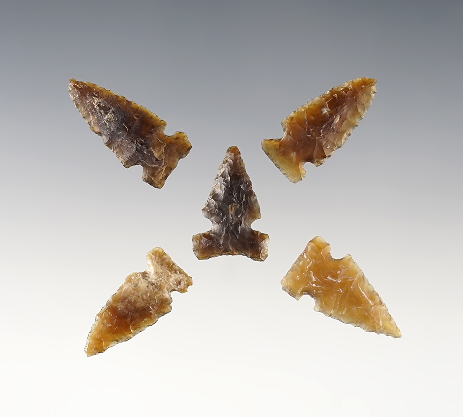 Set of 5 Knife River Flint points found by Larry Street at Ft. Sully, Sully Co., South Dakota. 
