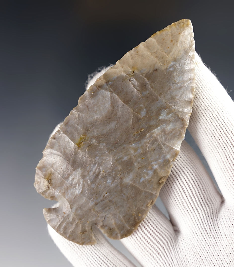 9/16" Flint Ridge Flint button base Dovetail - Pickaway Co., Ohio. Ex. Don Bapst. Pictured!