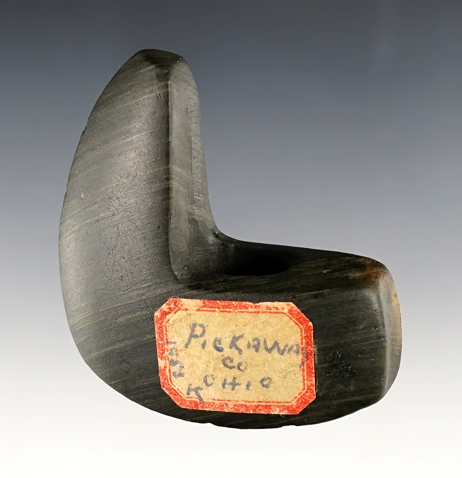 2 1/2" x 2 1/2" Geniculate Bannerstone in excellent condition - Glacial Slate. Ohio. 