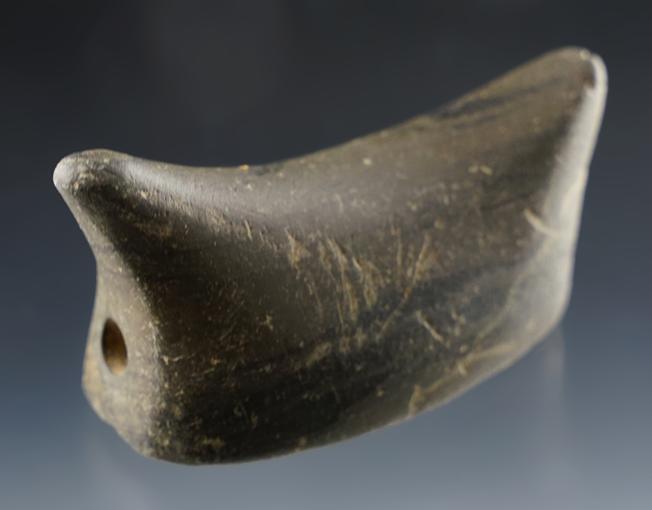 Exceptional 3" animal type Birdstone - Slate. Found in Northeastern Adams Co., Indiana.