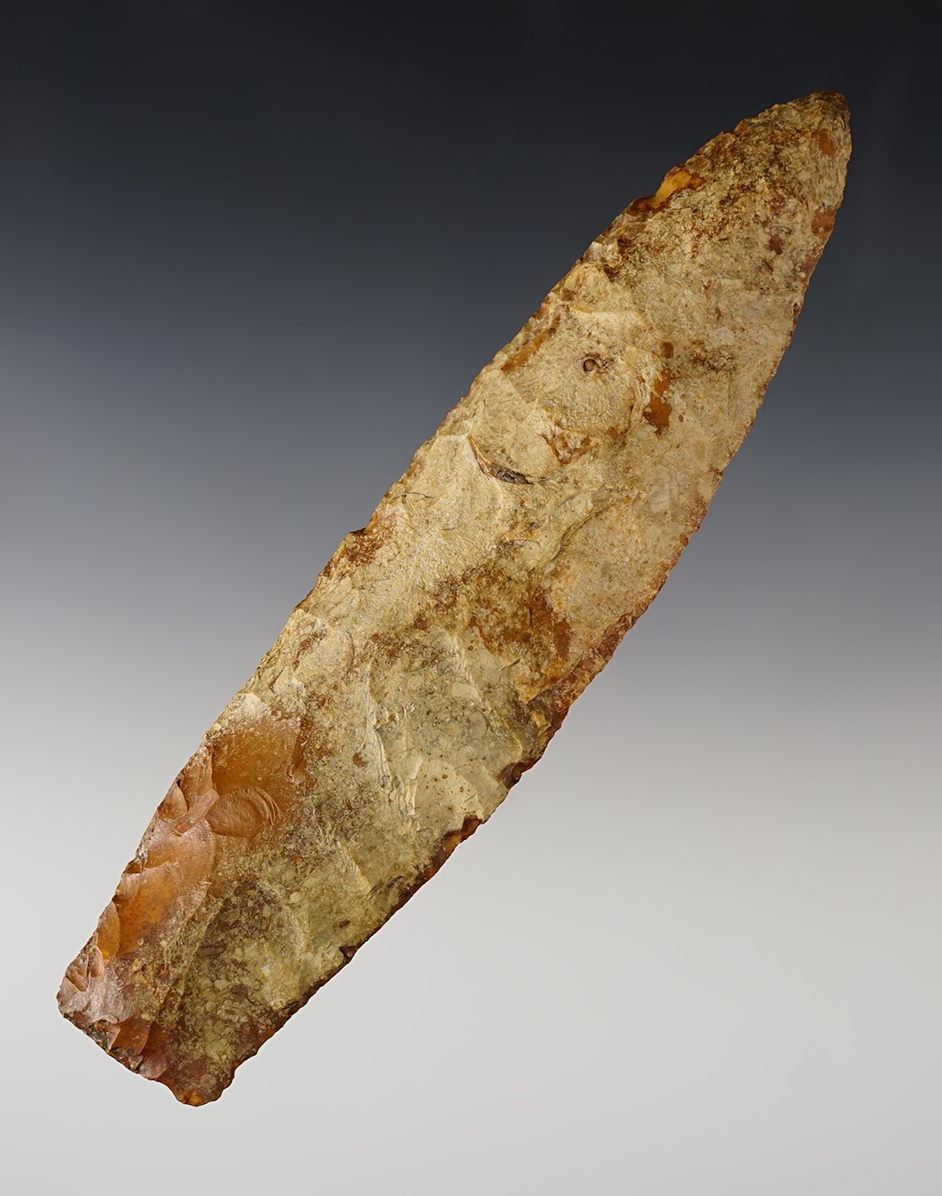 Large 6"  Nebo Hill found in Iowa - chert. Ex. Bruce Filbrandt, K. Shaw. COA's. 