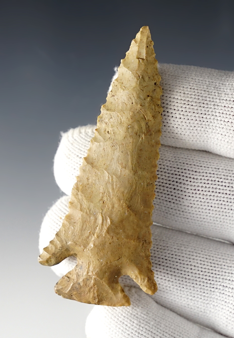 2 11/16" Pine Tree - One base corner and ear have been restored. Benton Co., Tennessee.