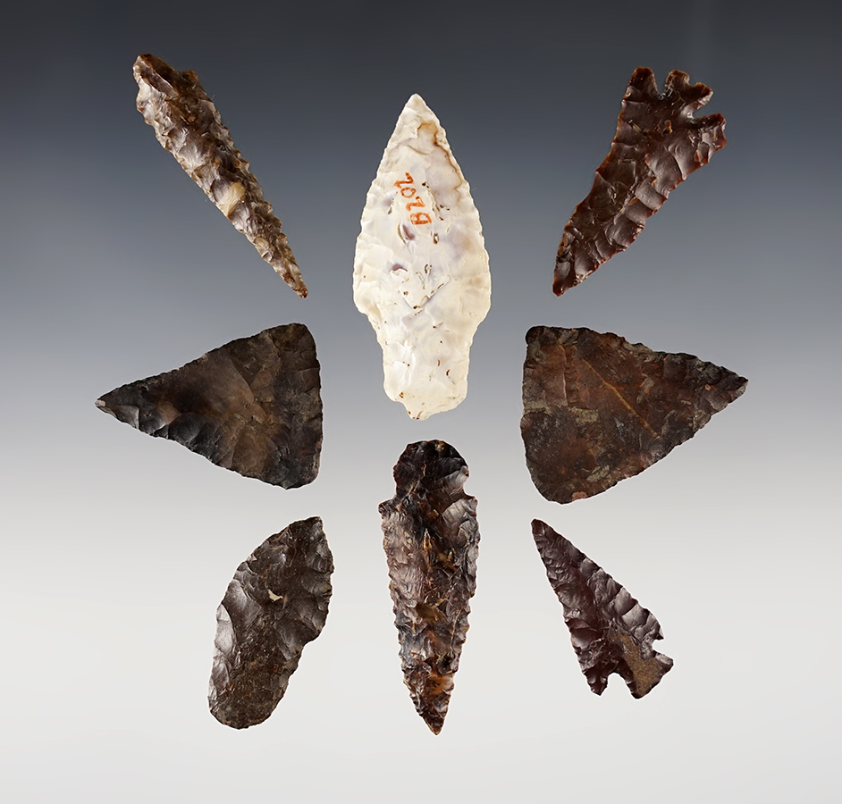 Set of 8 points found in the Washington/Oregon area. Ex. Norma Berg. The largest is 2 3/4".