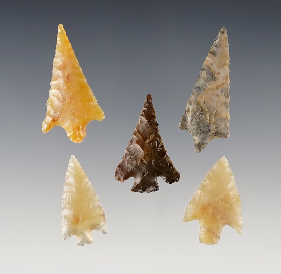 Set of 5 well made Points found in the Washington/Oregon area. Ex. Gene Favell. 