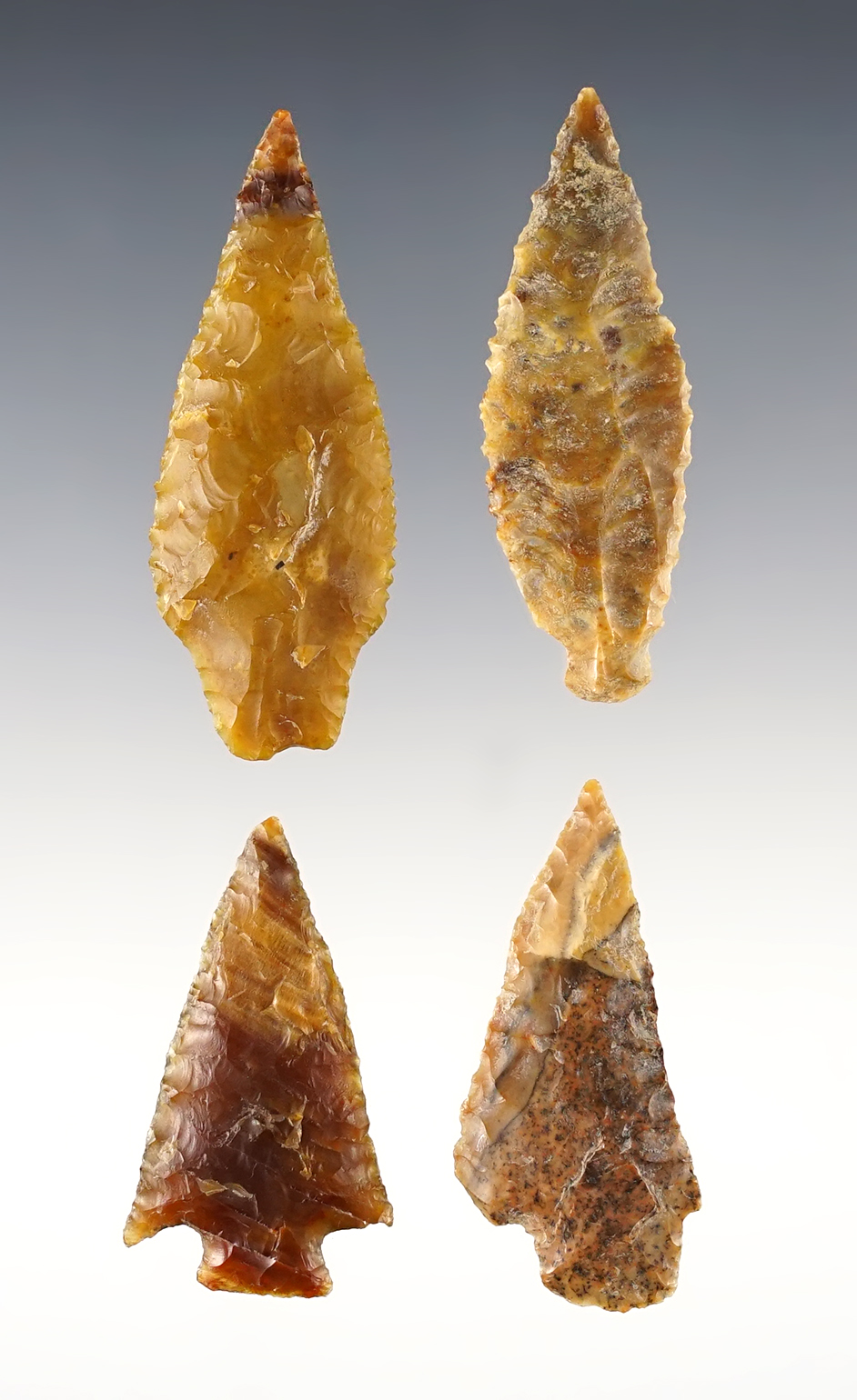 Set of 4 nice points found in the Washington/Oregon area. Ex. Norma Berg. The largest is 2 3/16".