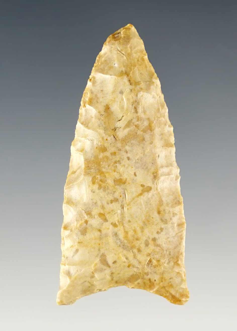 2" Plainview found in eastern Texas. Nice grinding to the basal area. Comes with a Bill Arnold COA.