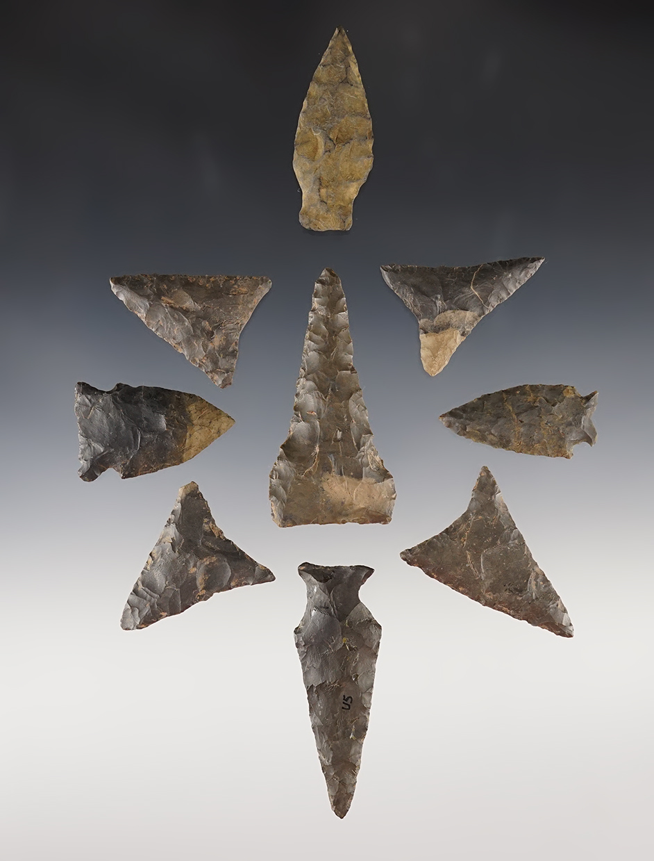 Set of 9 assorted points found in New York. Largest is 2 1/2".