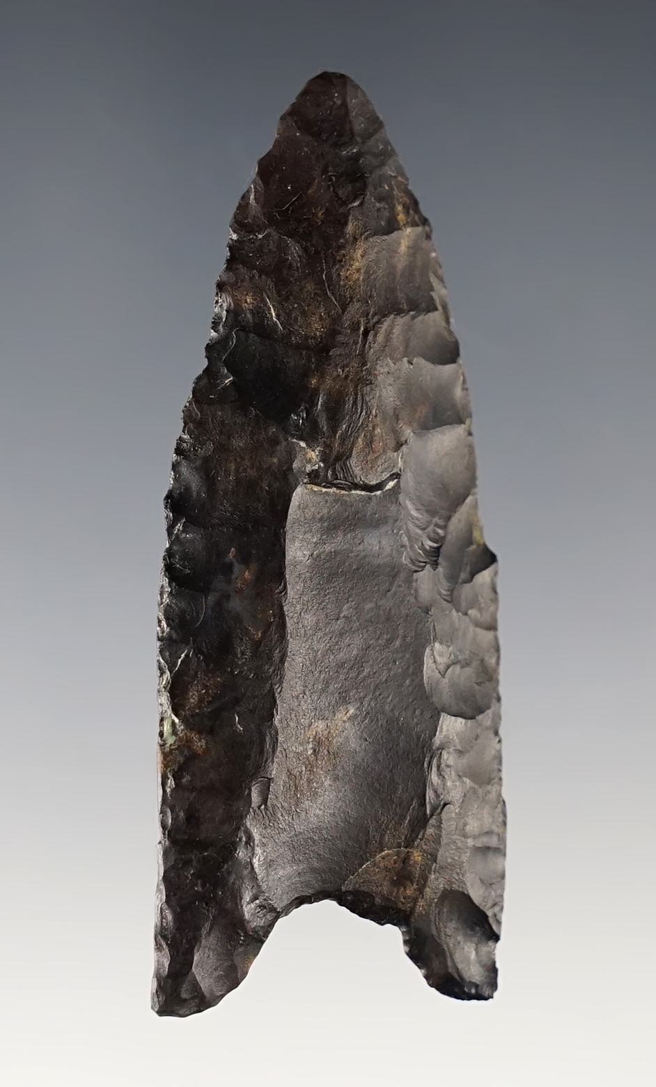 2 1/2" Fluted Paleo Clovis with restoration to one basal lobe and the tip. Displays well. Ohio.