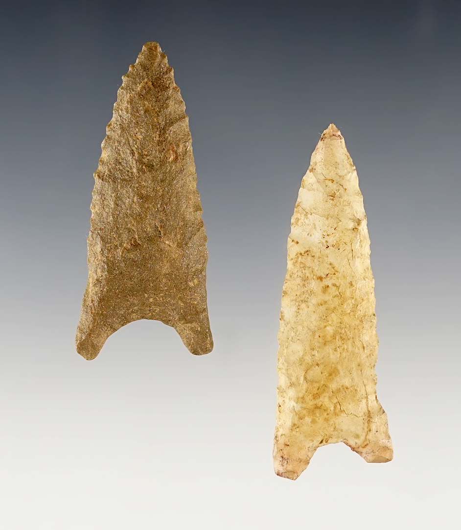 Pair of Paleo "Eared" Points found in Illinois. The largest is 2 3/8".
