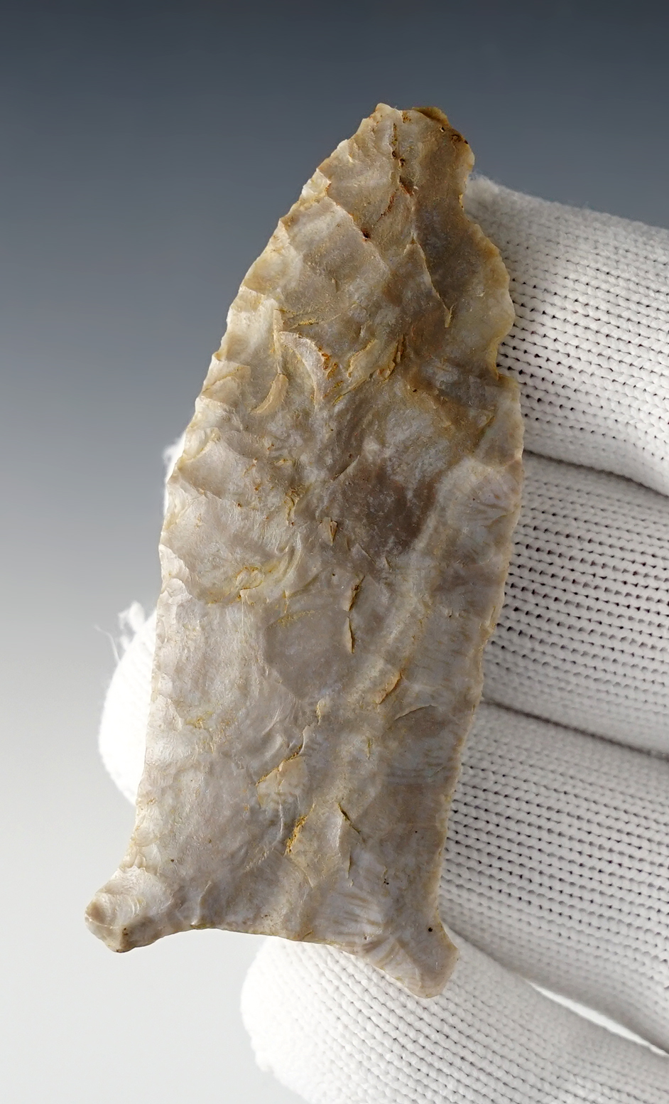 2 13/16" Kentucky Beaver Lake with nice basal and lower blade edge grinding. 