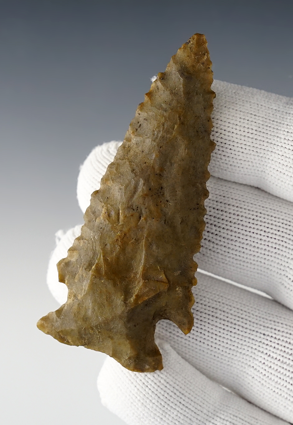 2 7/8" nicely serrated Pinetree found in the Kentucky area.