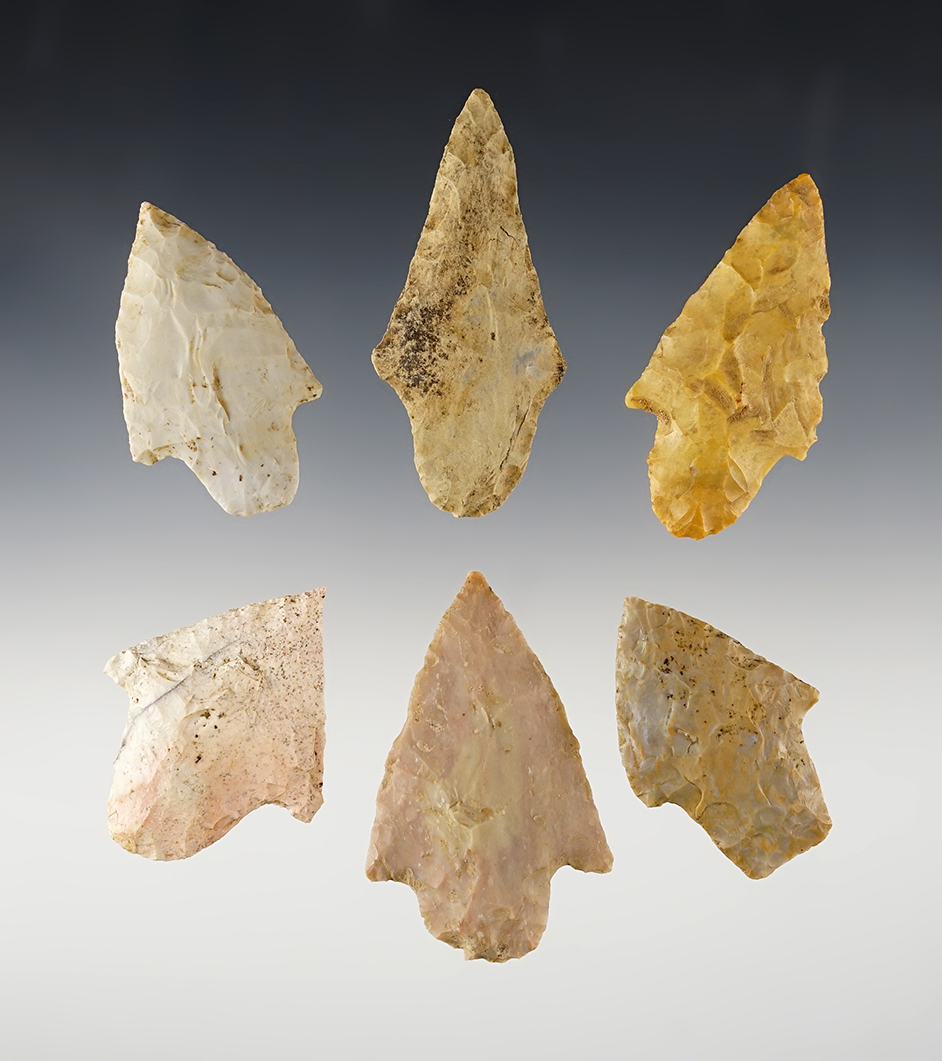 Set of 6 Missouri Adena points in good condition. The largest is 2 11/16".
