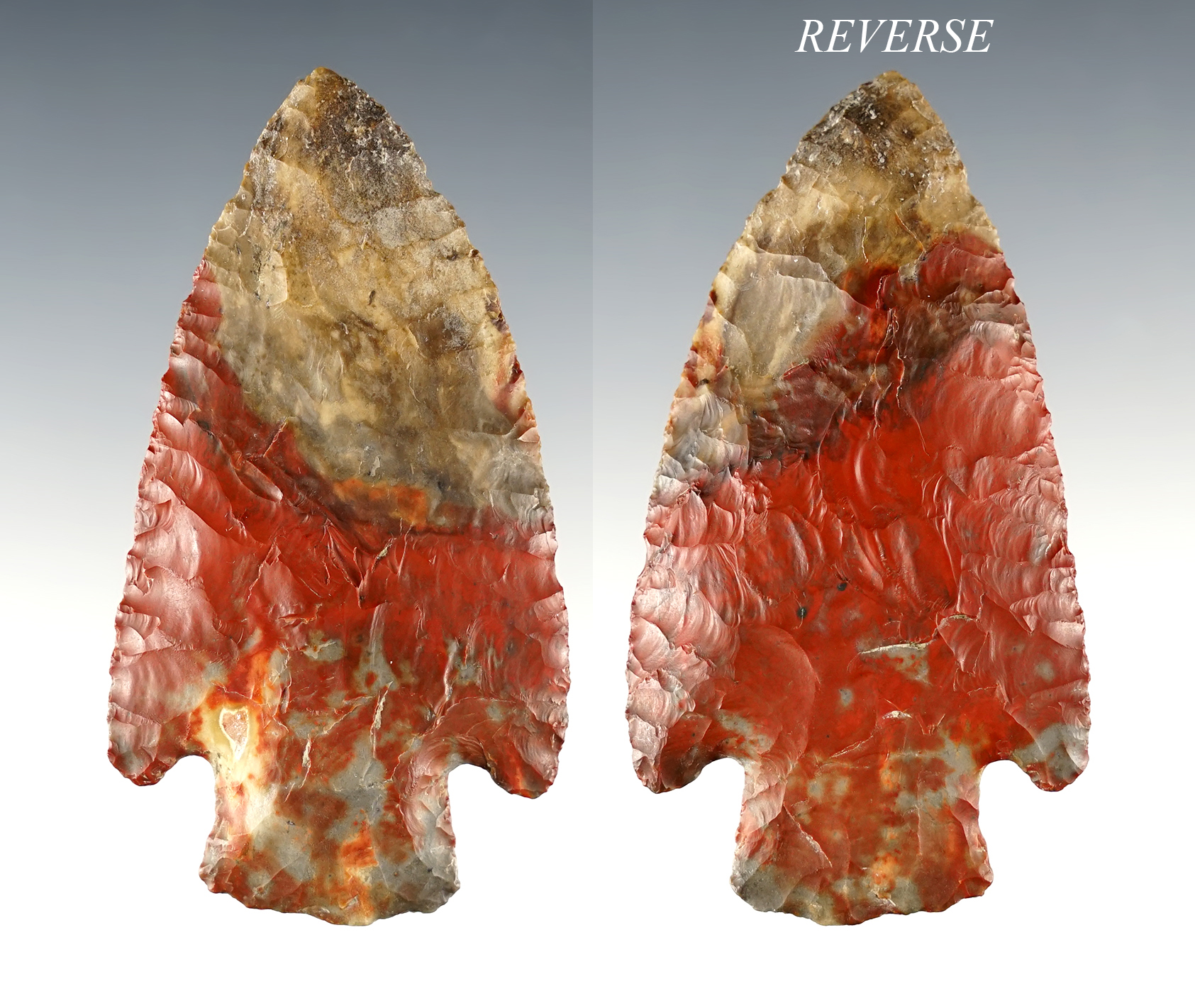 3 7/16" Broadblade - multi-colored Flint Ridge Nethers Flint. Fairfield Co., Ohio. Bennett COA.