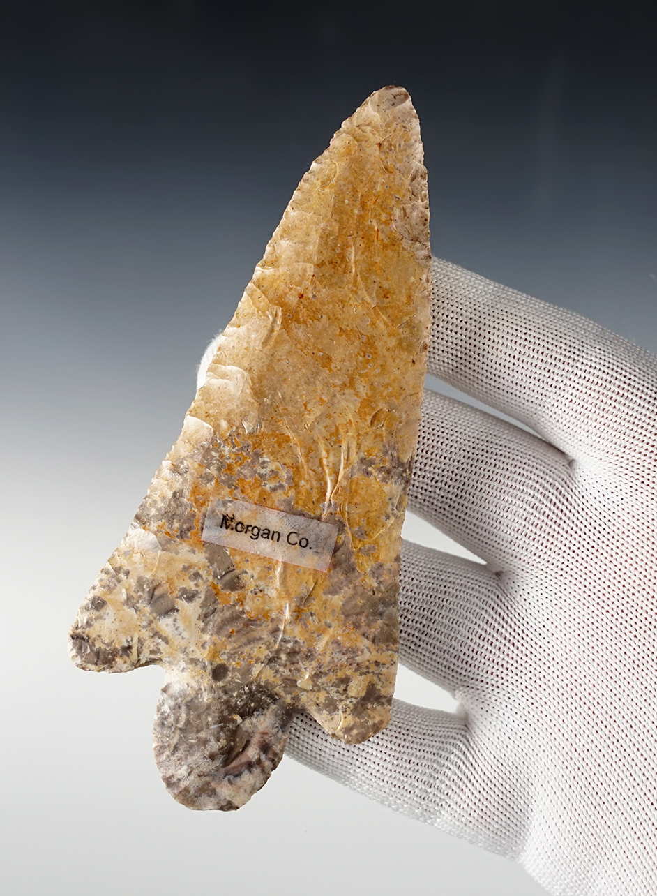 Large and superb! 5 1/4" Adena Waubesa -n Morgan Co., Illinois. Davis COA, G-10, Rogers COA.. 