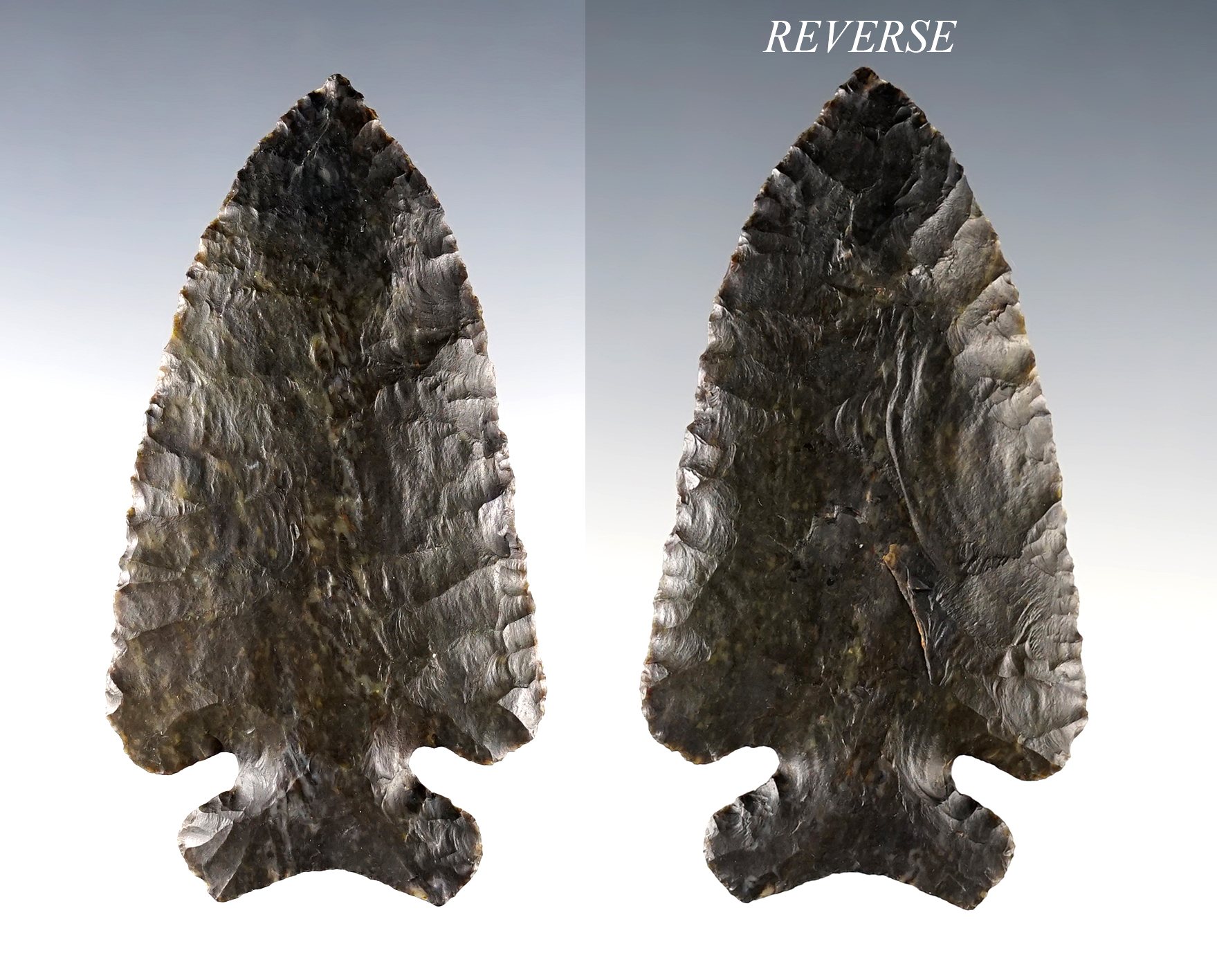 3 7/16" classic Coshocton Flint Archaic Thebes with exquisite flaking. Found in Ross Co., Ohio.