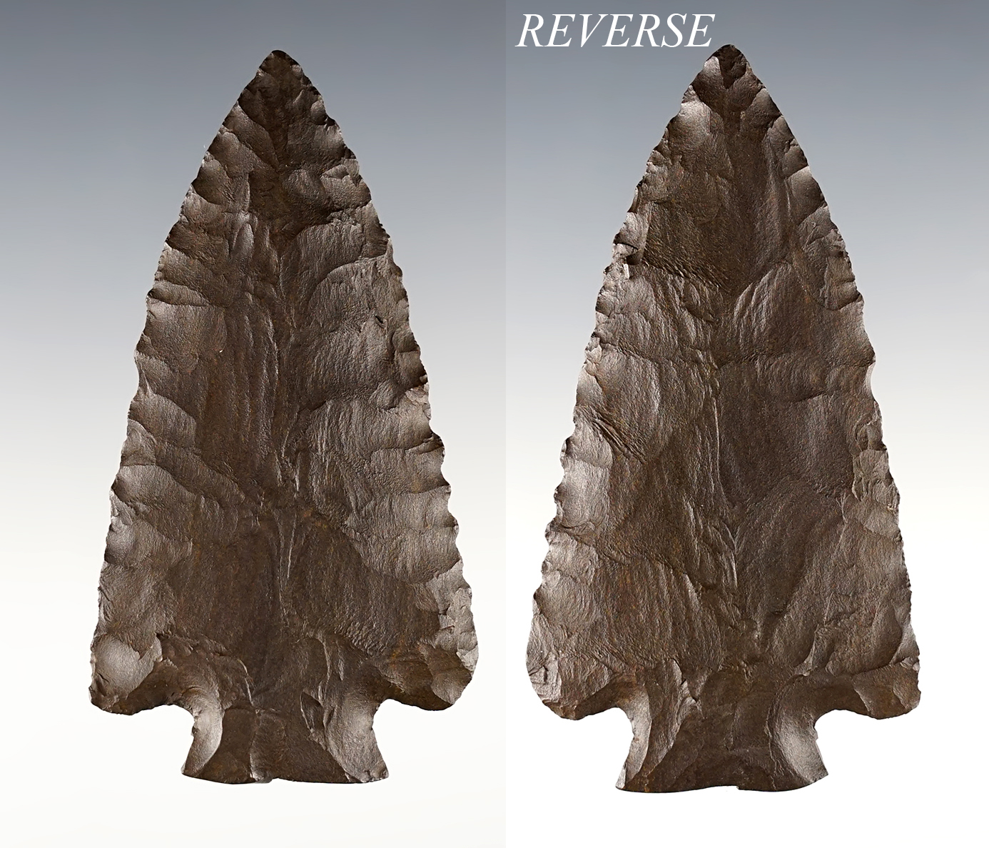 Exceptional 3 3/8" Decatur Fracture Base found in Smith Co., Tennessee. COA's.