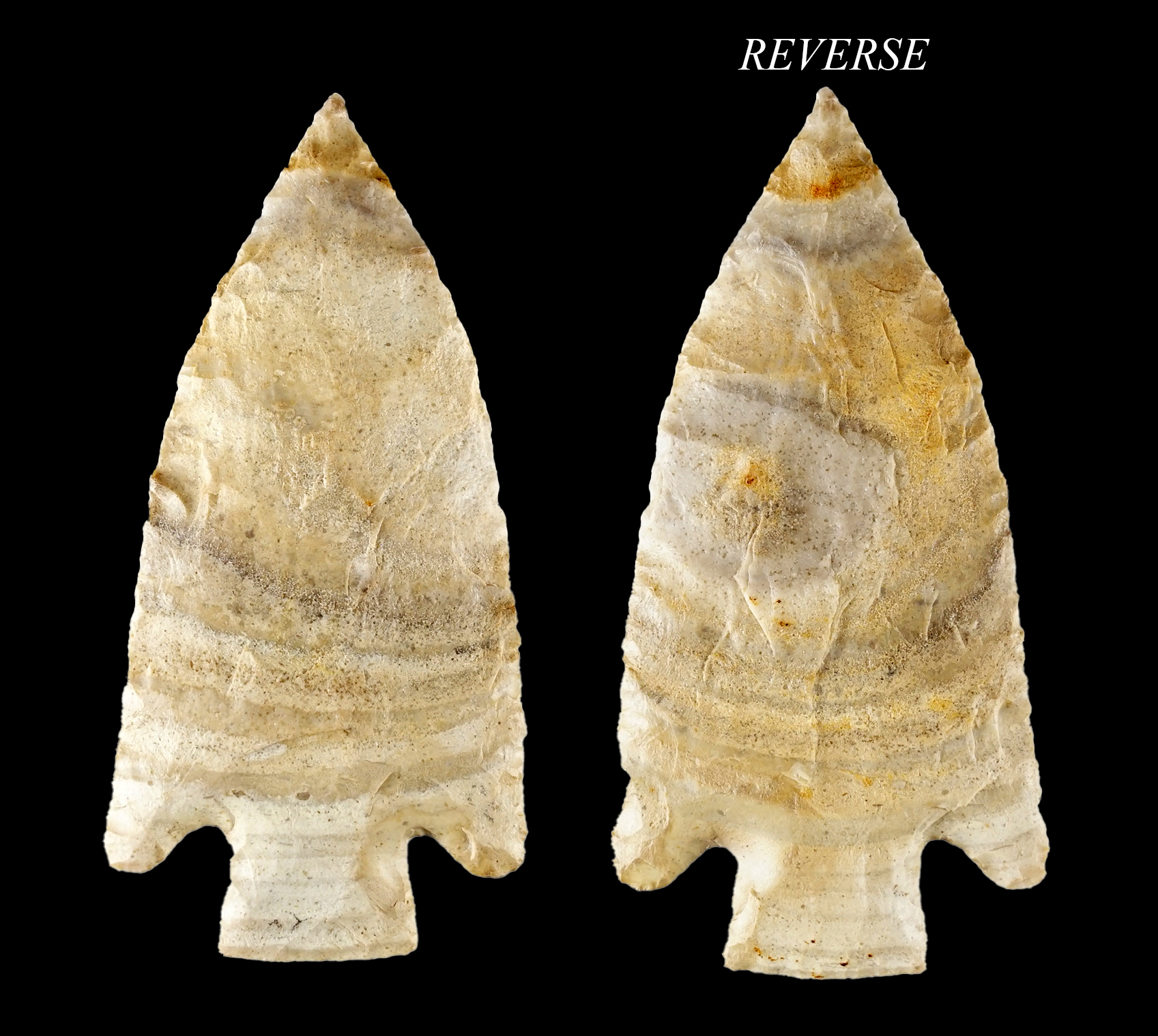 Outstanding form on this colorful 3 3/4" Hardin- Illinois. Prefect condition. Davis COA, G-10. 