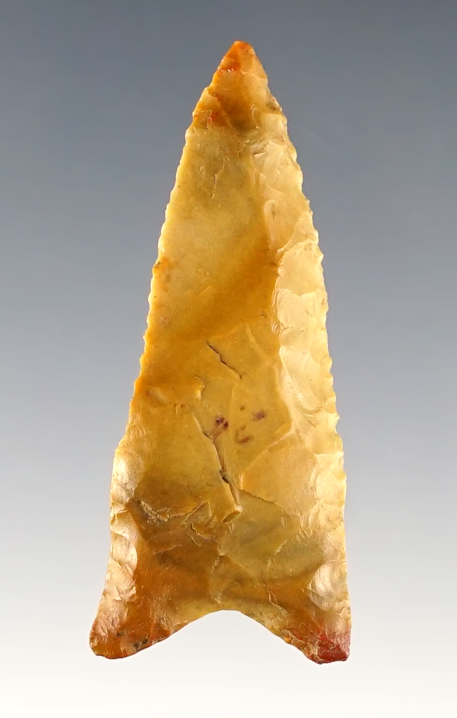 Nicely colored 2" Dalton found in Southern Illinois. Ex. Rodney Leggs.