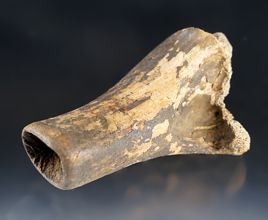 4 7/16" Bear Bone Torch Handle found in Madison Co., Kentucky.