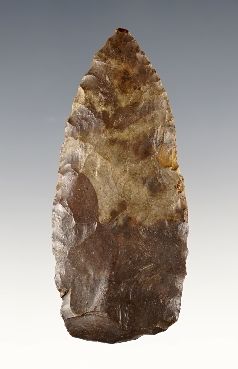 2 1/2" Paleo Lanceolate that was anciently reworked at the base. Found in Ohio. Ex. Heacock.