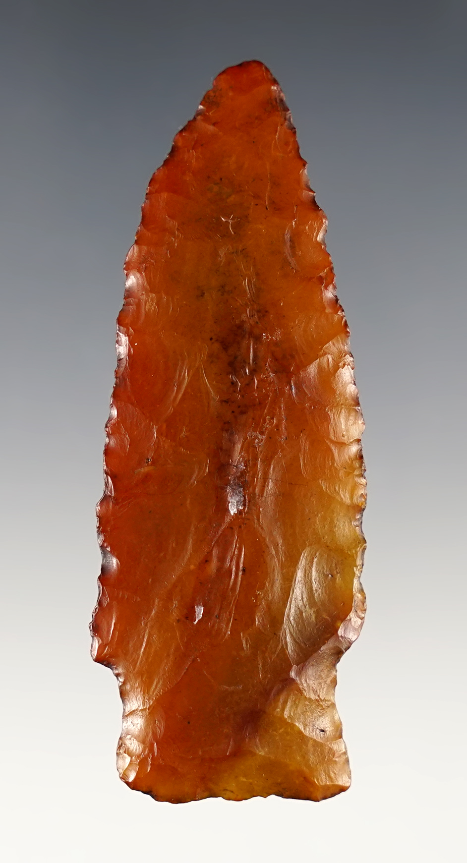 2 15/16" Stemmed Knife - Agatized Coral. Found near the Flint River in Southern Georgia. 