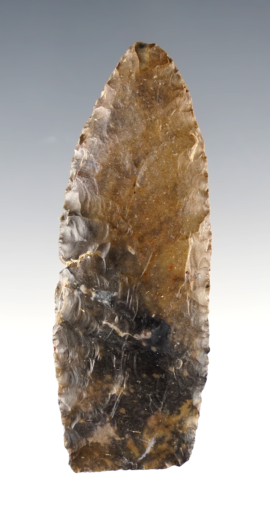 2 11/16" Ohio Paleo Lanceolate made from Coshocton Flint. Small ding at the tip.