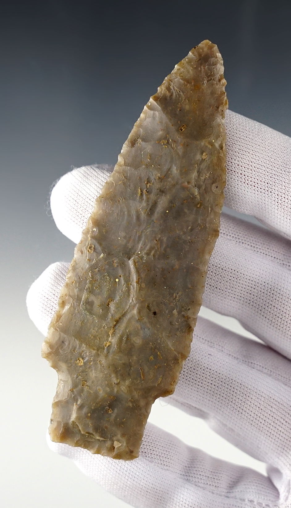 3 13/16" Morrill that is well flaked and in excellent condition. Found in Central Texas.