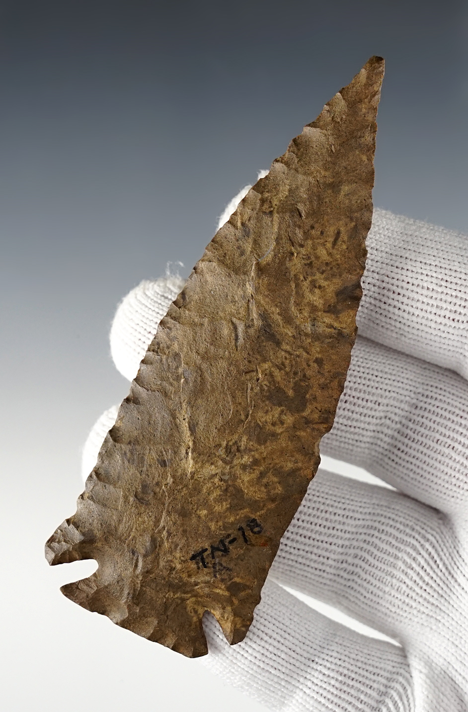 Superb! 4" Pinetree that is very symmetrical and well styled. Found in Humphreys Co., Tennessee.