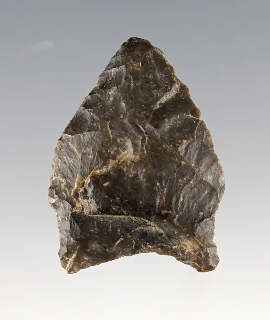 15/16" Paleo Hi-Lo found in Guernsey Co., Ohio . Made from Coshocton Flint. Bennett COA.