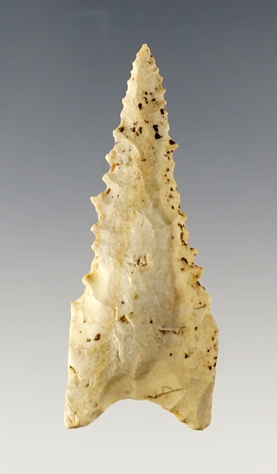 2" finely serrated Dalton found in Greene Co., Arkansas.