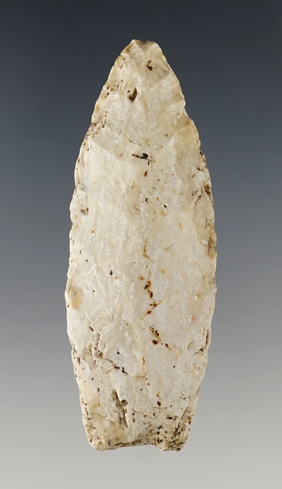 2 9/16" Angostura found in Missouri. 