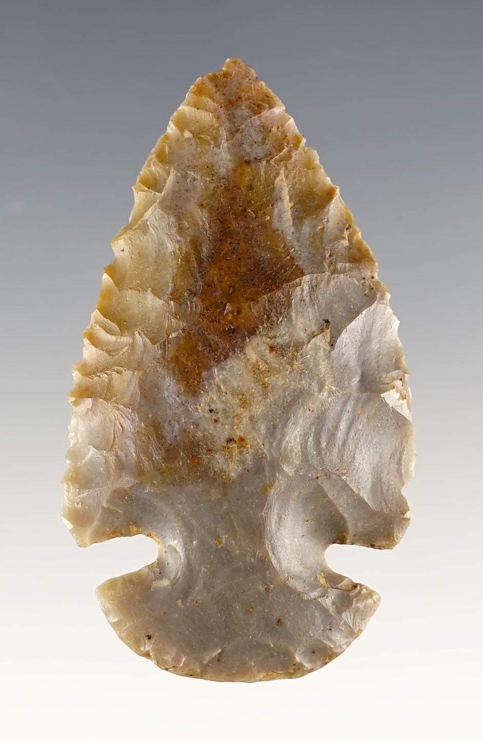 2" Miniature Dovetail found in Garrett Co., Kentucky. Made from Carter Cave Flint.