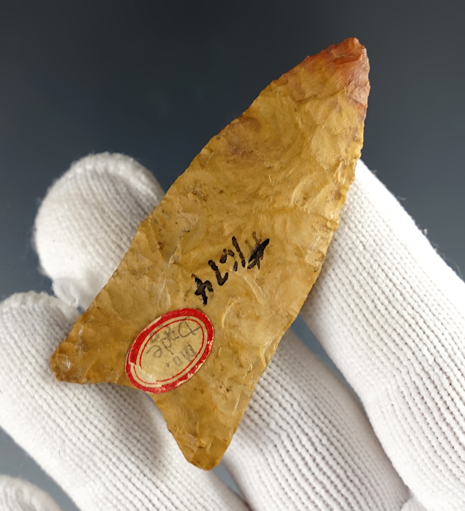 2 7/16" Dalton with nicely ground lower edges, found in Dade Co., Missouri. 