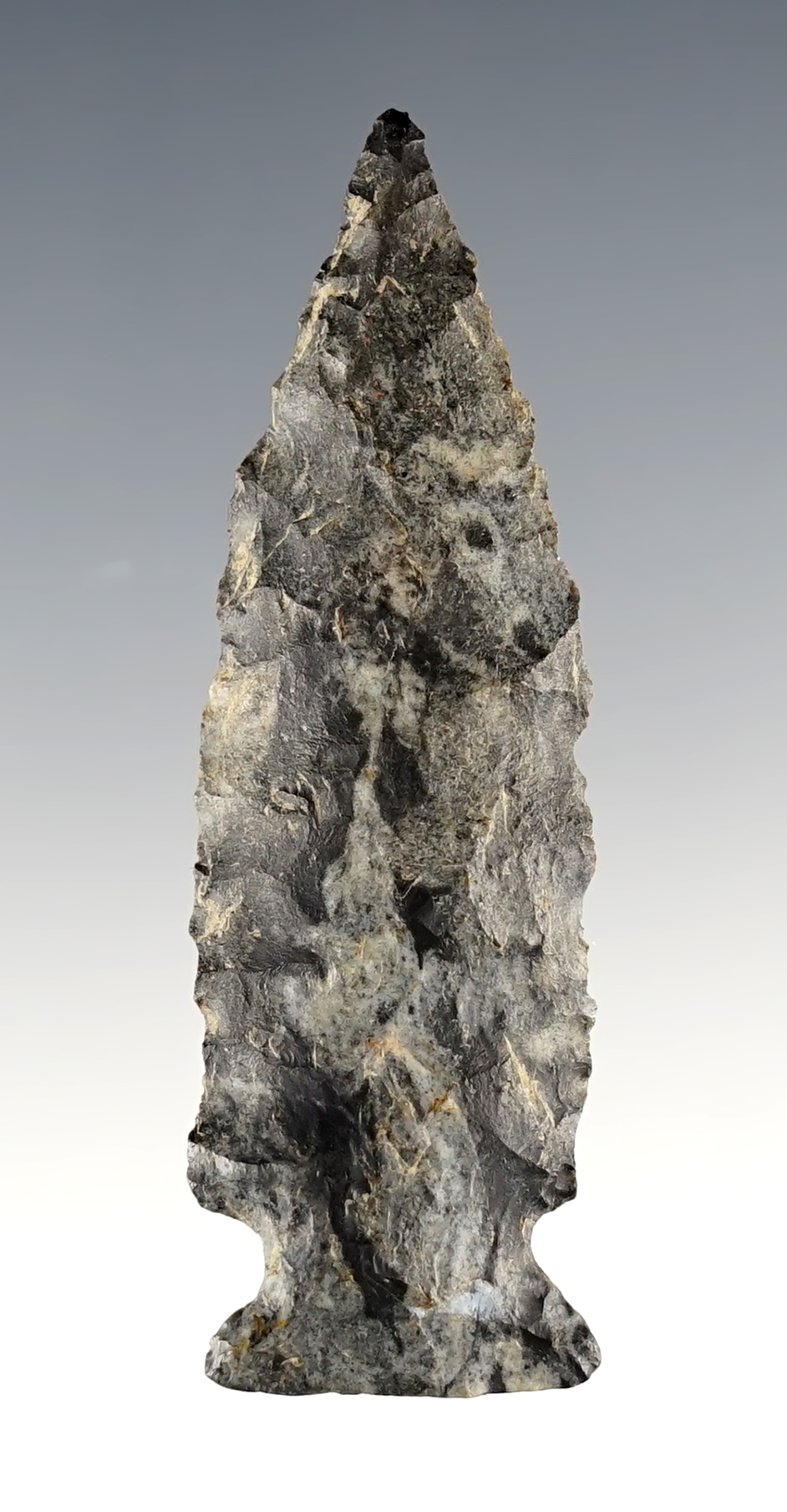 Classic 2 5/8" Coshocton Flint Fishspear found in Wood Co., Ohio. Ex. Brent Heath. 