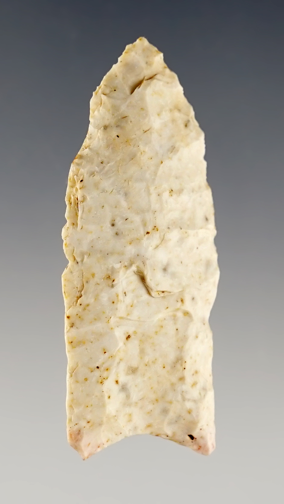 2 1/4" Paleo Fluted Clovis found in Missouri. 