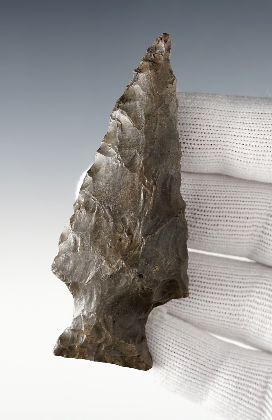 3 5/16" Ashtabula made from heavily patinated Hornstone. Found in the Ohio/Kentucky area. 