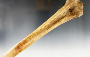Wood Working