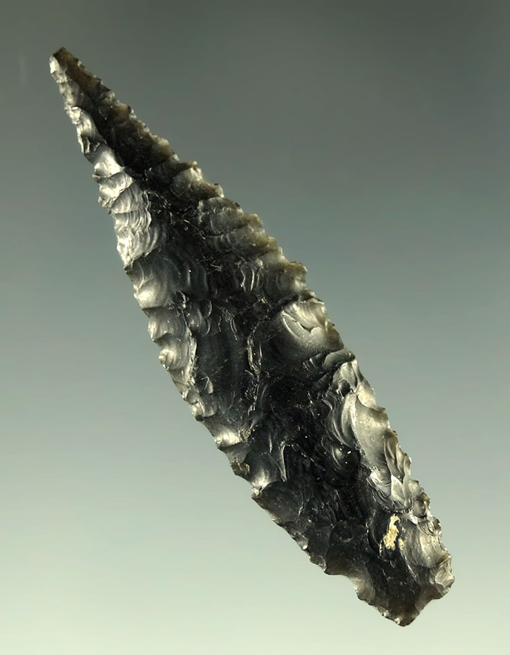 1 15/16" obsidian Humboldt - Great Basin area. Ex. Charles Shewey. Museum COA.