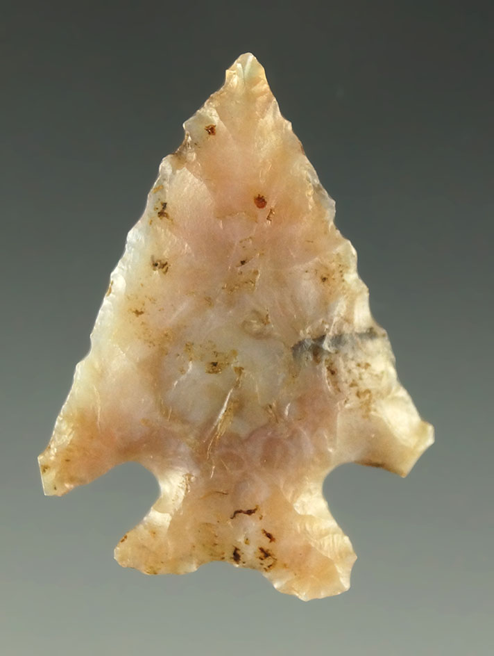 1 1/4" Elko eared found in Oregon. Ex. Charles Shewey collection.