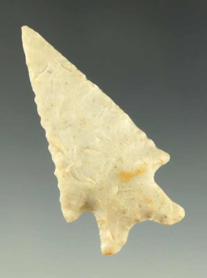 2" Uvalde point found in Texas from the collection of Charles Shewey.  Davis COA.