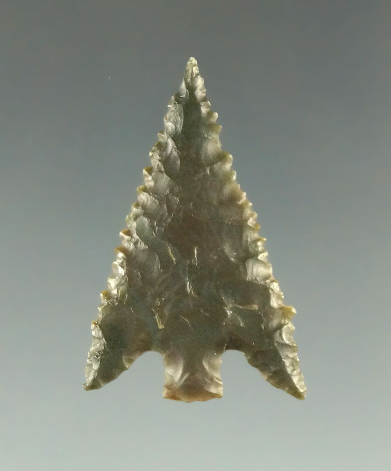 Pictured!1 3/16" Gunther point with nice micro-serrations -Oregon.