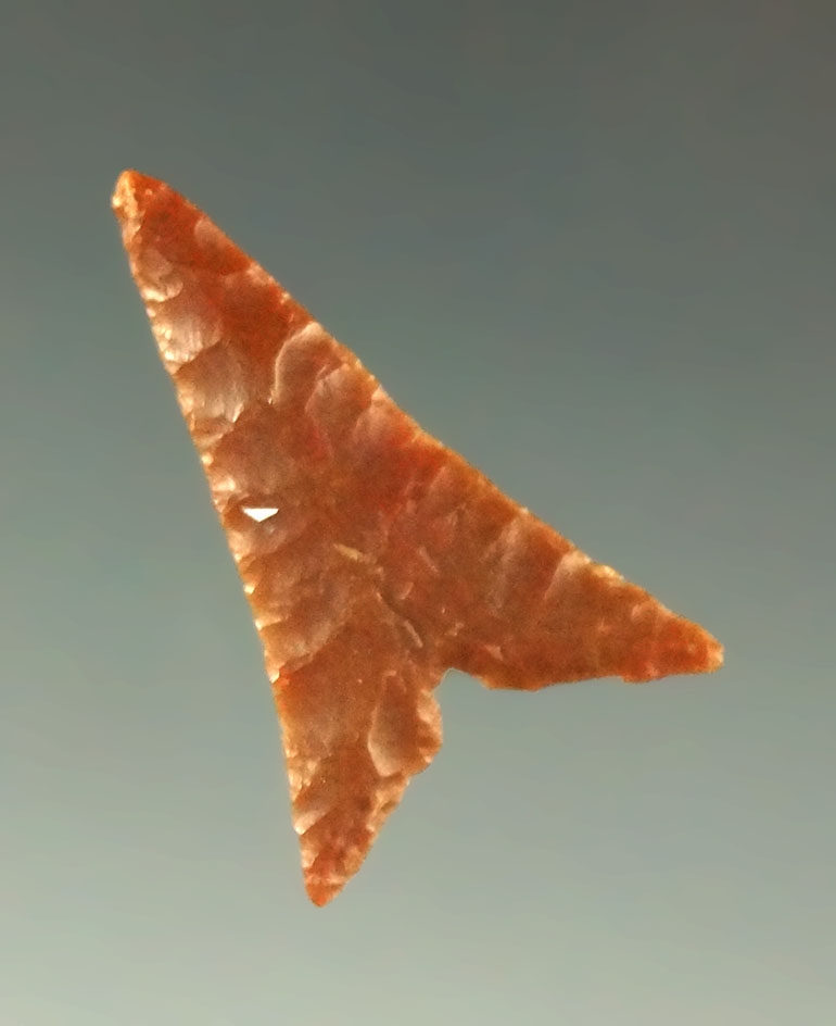 7/8" Garza point with excellent flaking found in Texas. Pictured in Ancient Indian Artifacts.