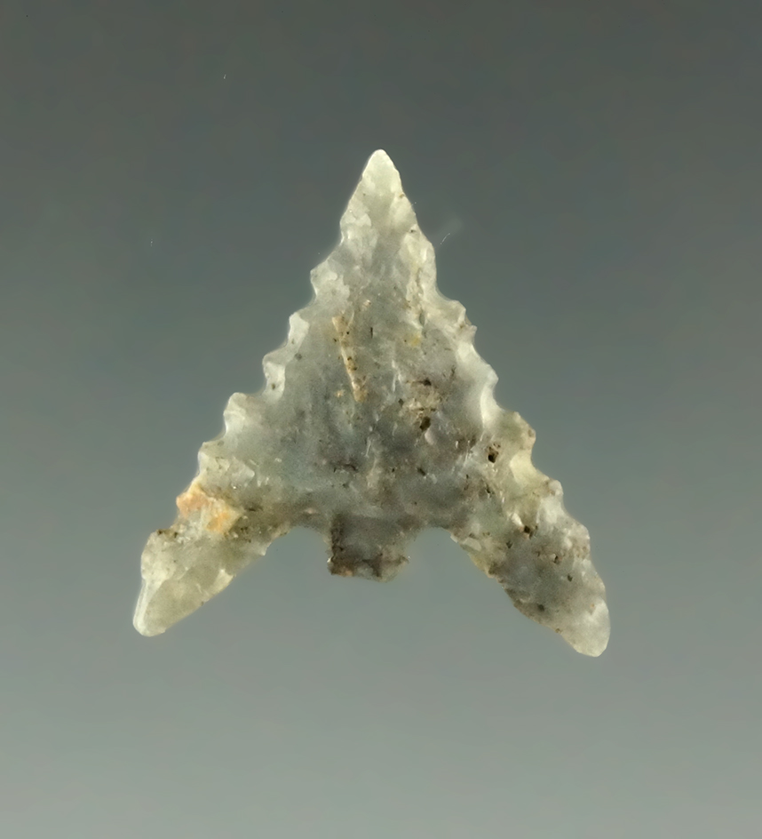 13/16" Gunther point with nice edge serrations found in southern Oregon. Ex. Charles Shewey.