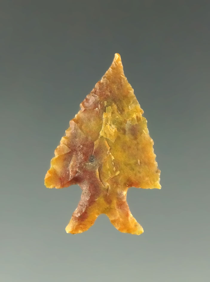 Exceptional style on this 1" Elko Eared found in Oregon - Davis G-10 COA.