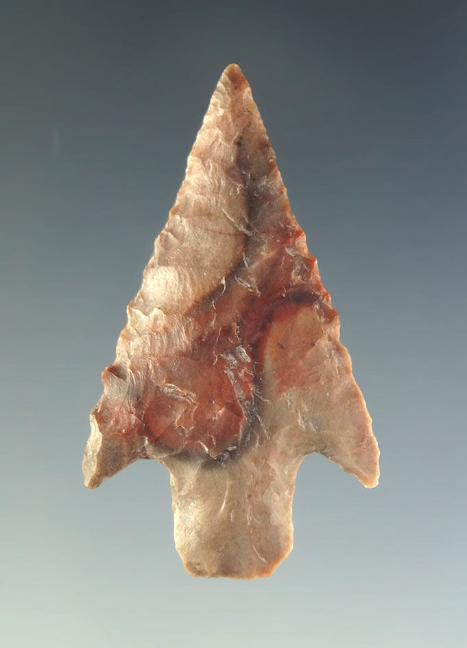 1 5/8" Shumla point that is very nicely flaked from attractive multi-colored material.  Texas.