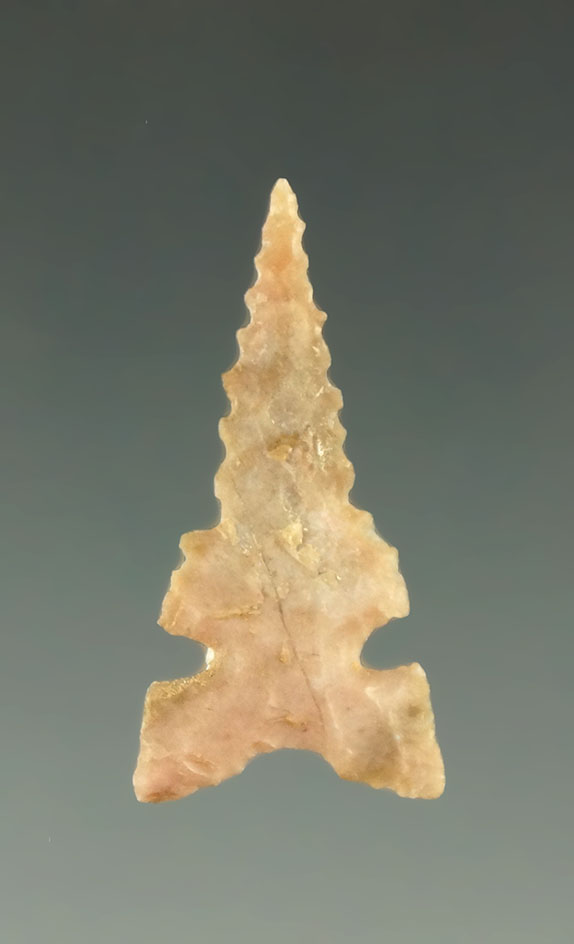 1 1/8" Toyah with nice edge serrations found in Texas. Ex. Charles Shewey collection.