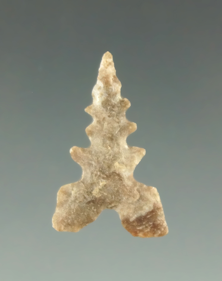 7/8" Toyah with very nice edge serrations found in Texas. Ex. Charles Shewey collection.