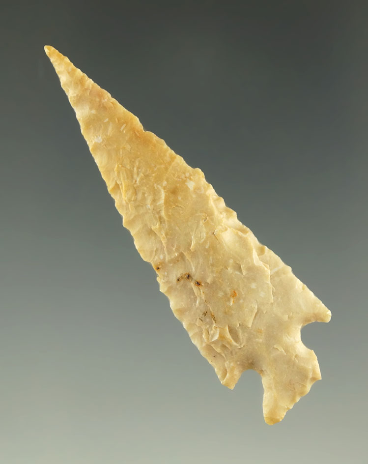 2" Scallorn point found in the Texas/Oklahoma area. Ex. Charles Shewey collection.