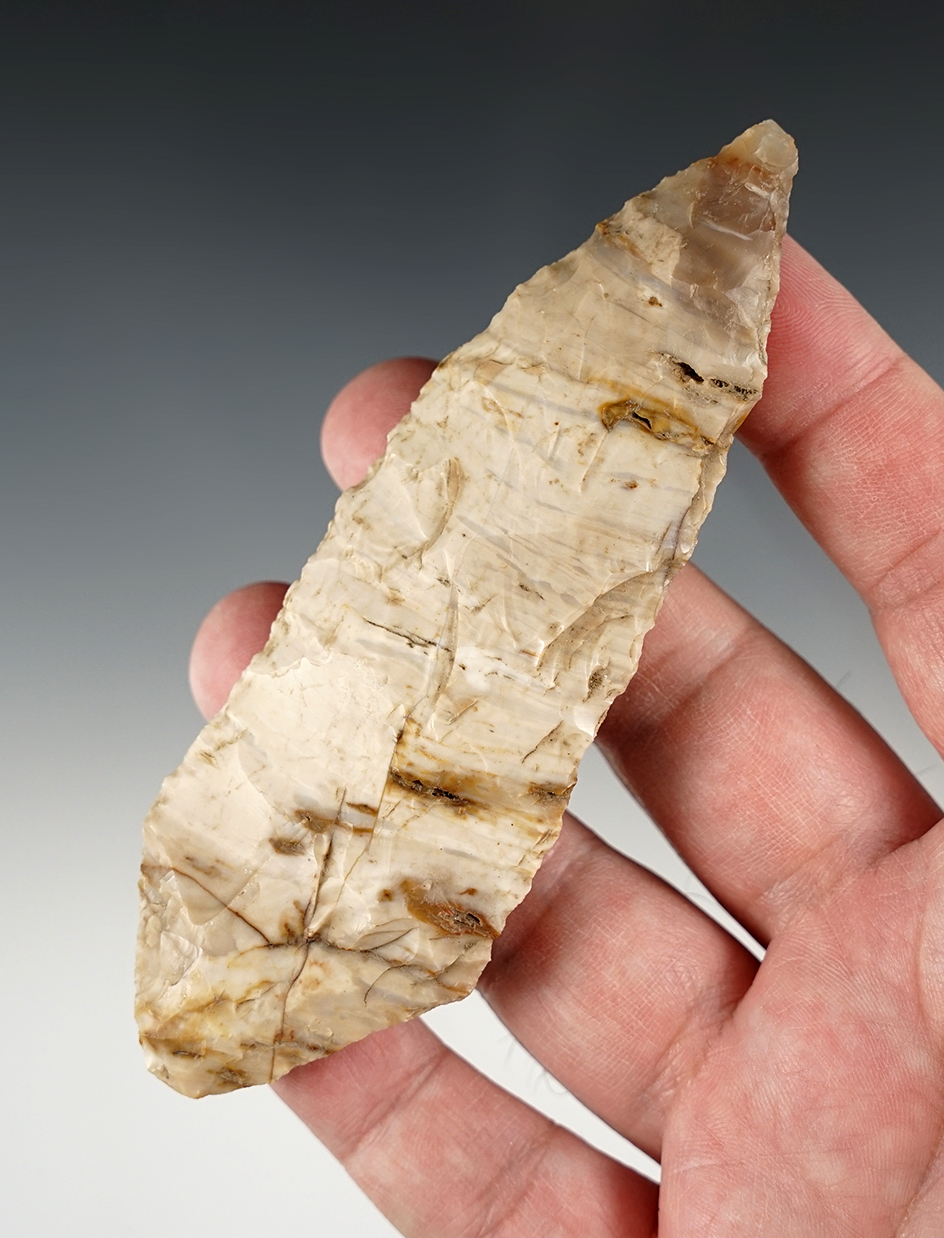 Outstanding 4 11/16" Wildcat Canyon found in Benton Co., Washington.