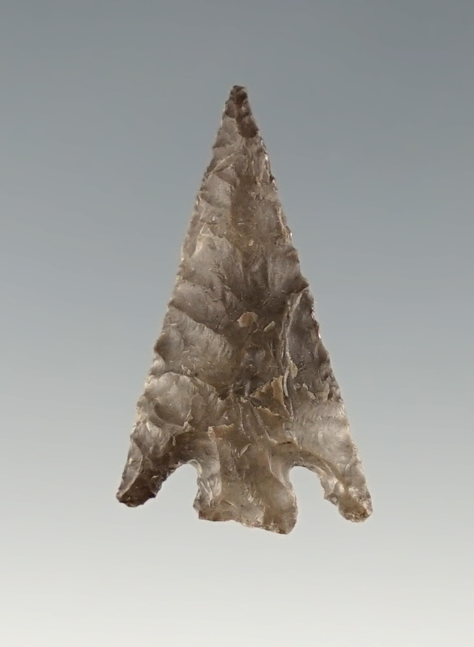 Very fine 1" Columbia Plateau found in Plymouth, Washington in the 1960's.